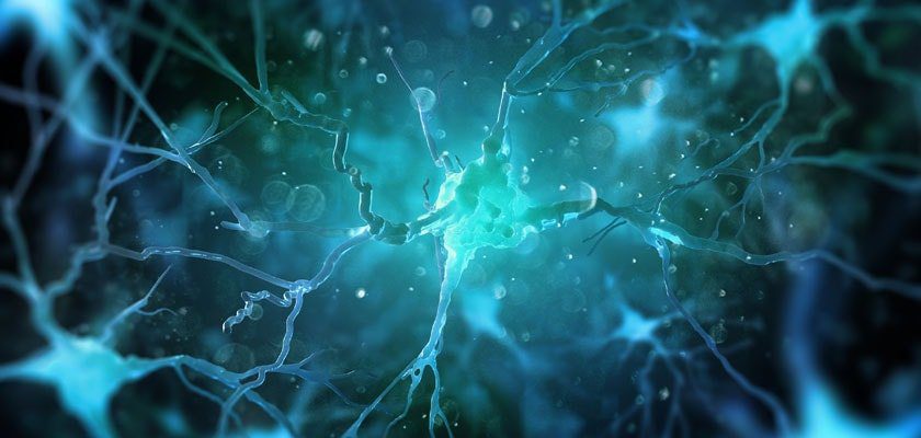 Mantieni il tuo cervello giovane