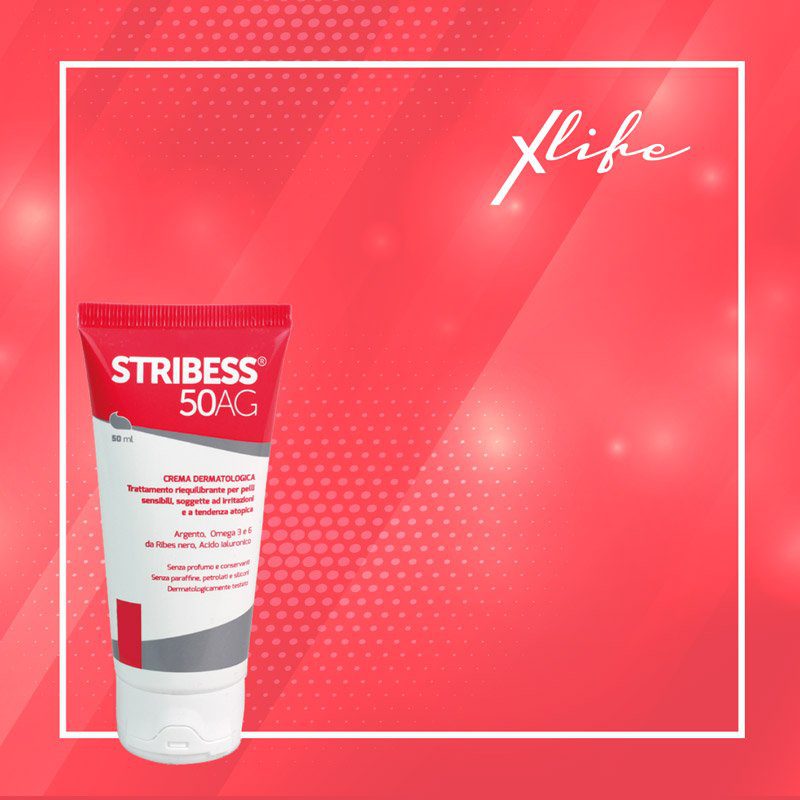 Stribess