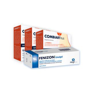 Combiart Plus + Fenizon